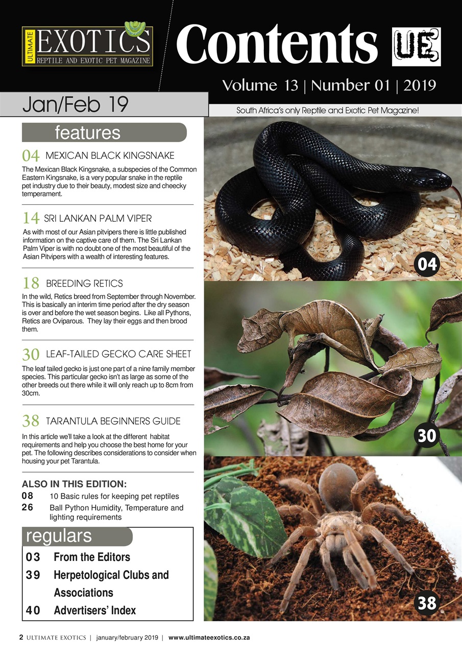 Ultimate Exotics Preview Pages