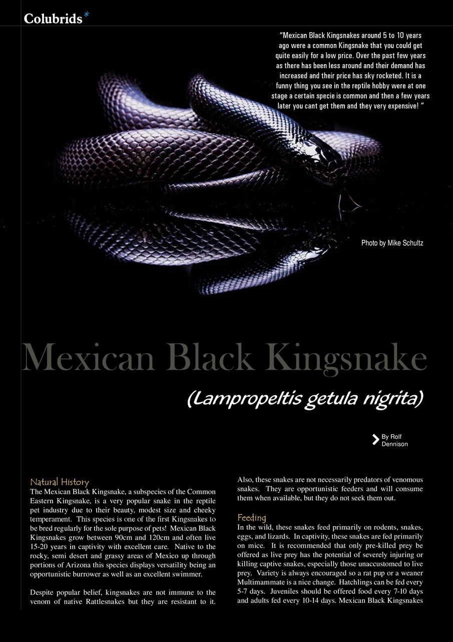 Ultimate Exotics Preview Pages