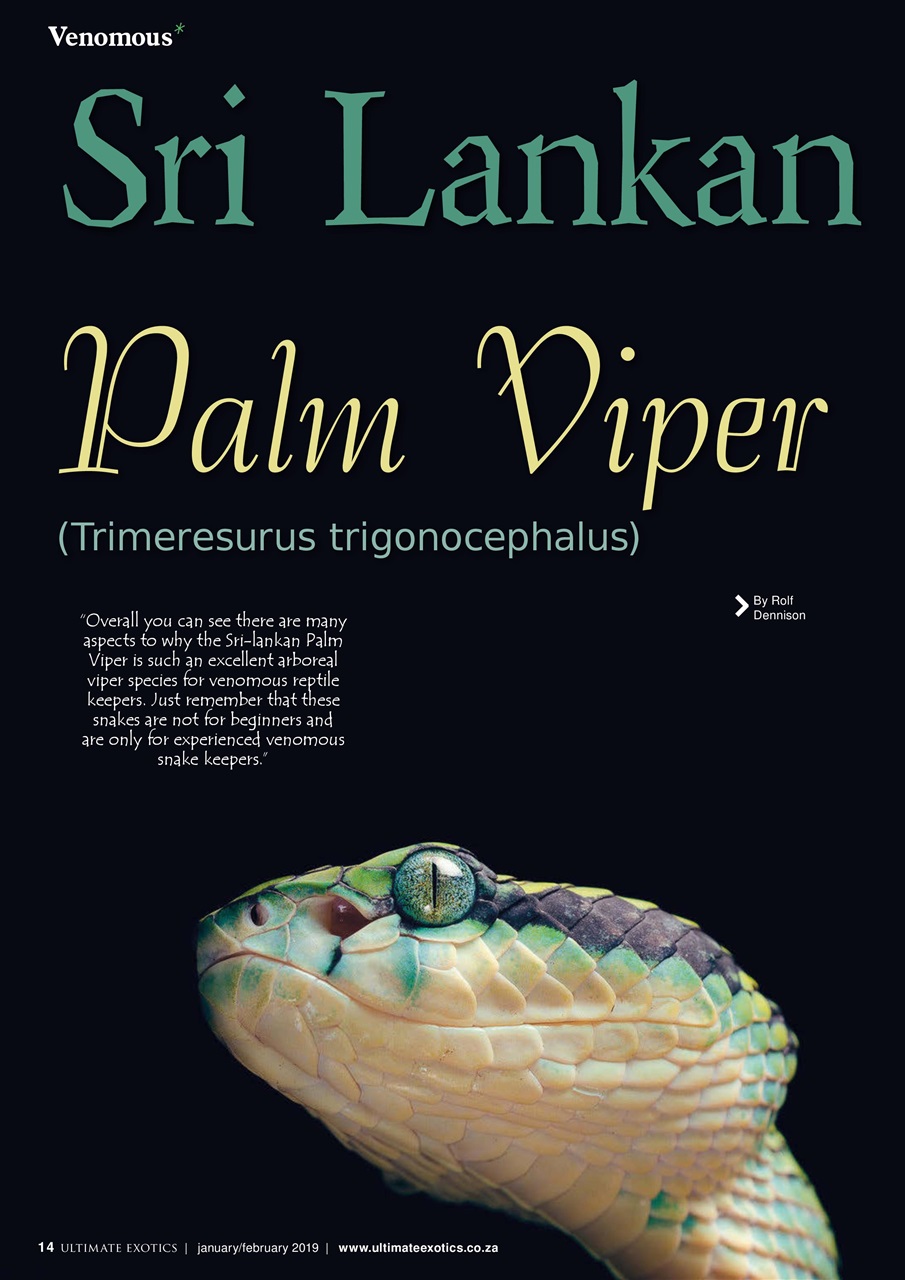 Ultimate Exotics Preview Pages