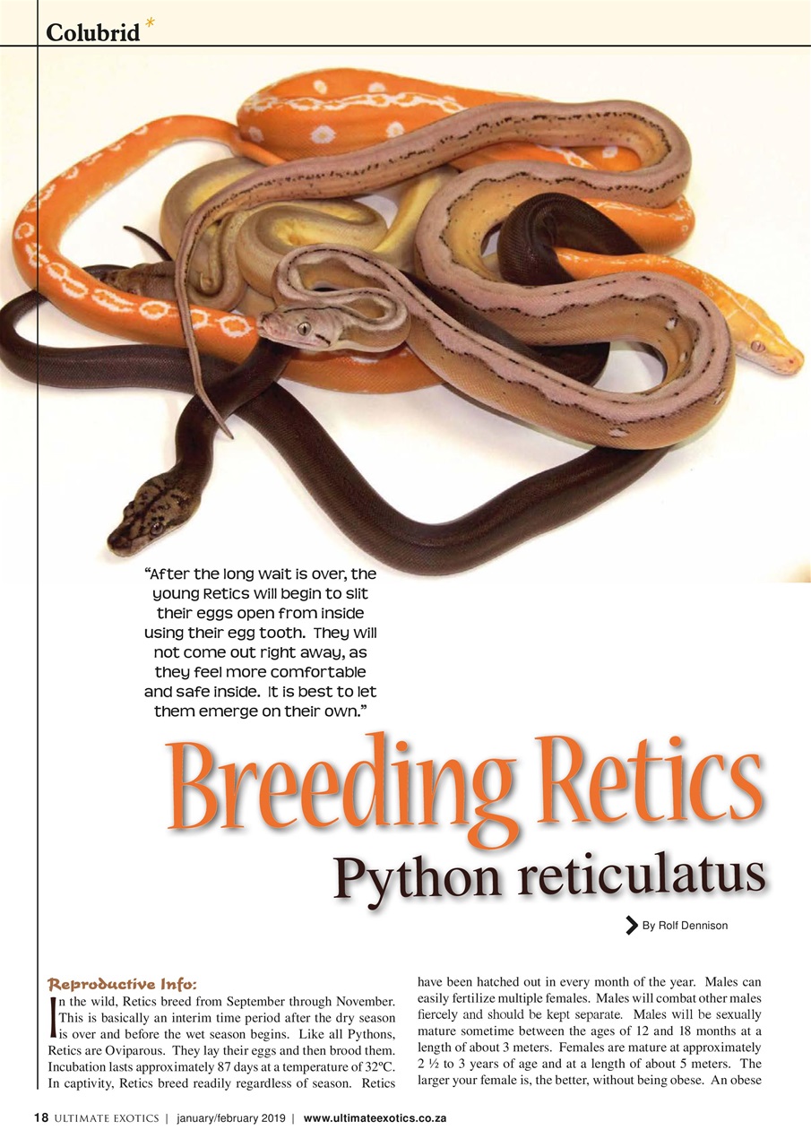 Ultimate Exotics Preview Pages