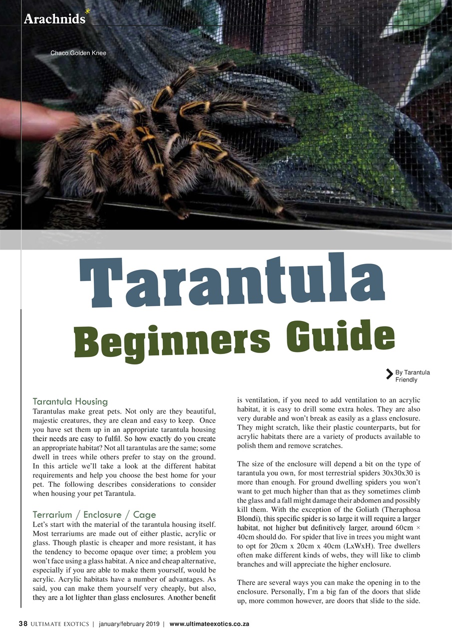 Ultimate Exotics Preview Pages