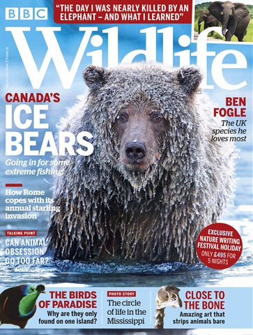 BBC Wildlife Magazine issue February 2019