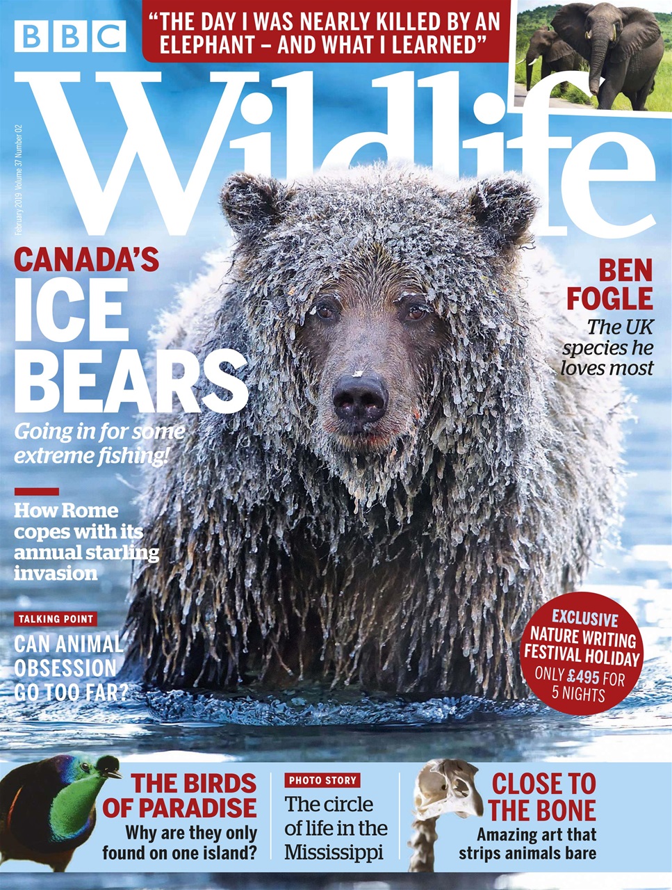 BBC Wildlife Magazine Preview Pages