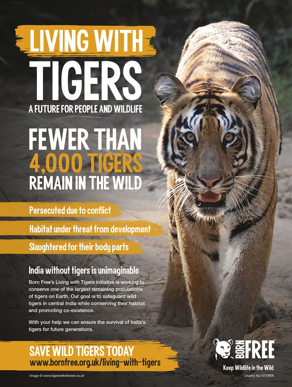BBC Wildlife Magazine Preview Pages