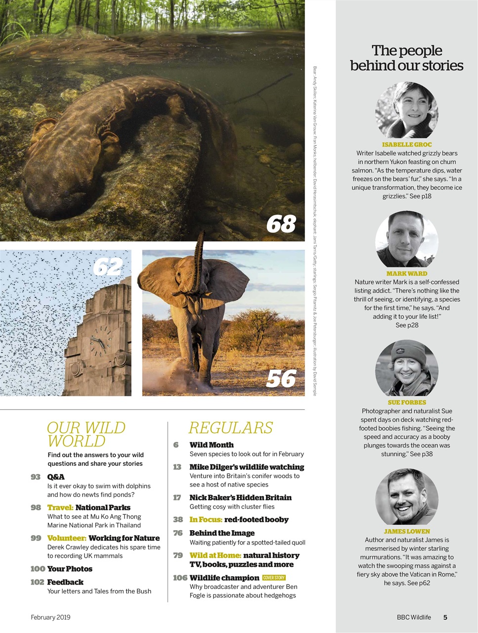 BBC Wildlife Magazine Preview Pages