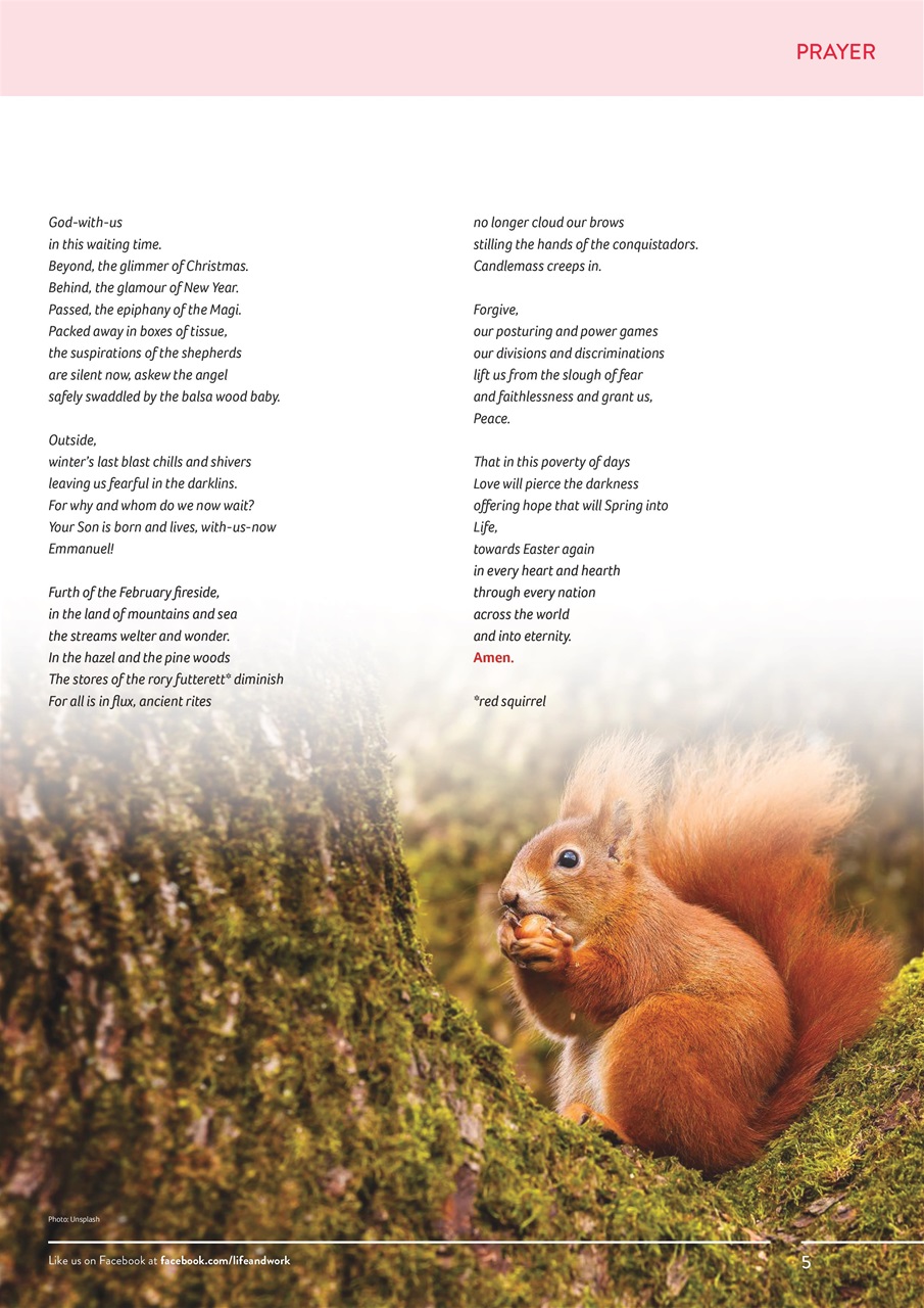 Life and Work Preview Pages