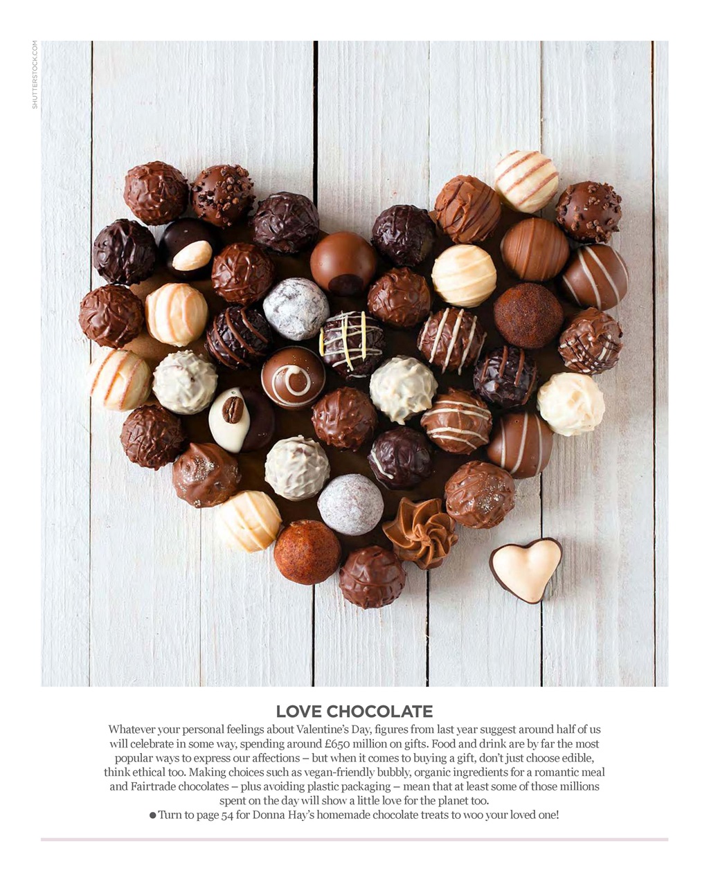 Vegetarian Living Preview Pages