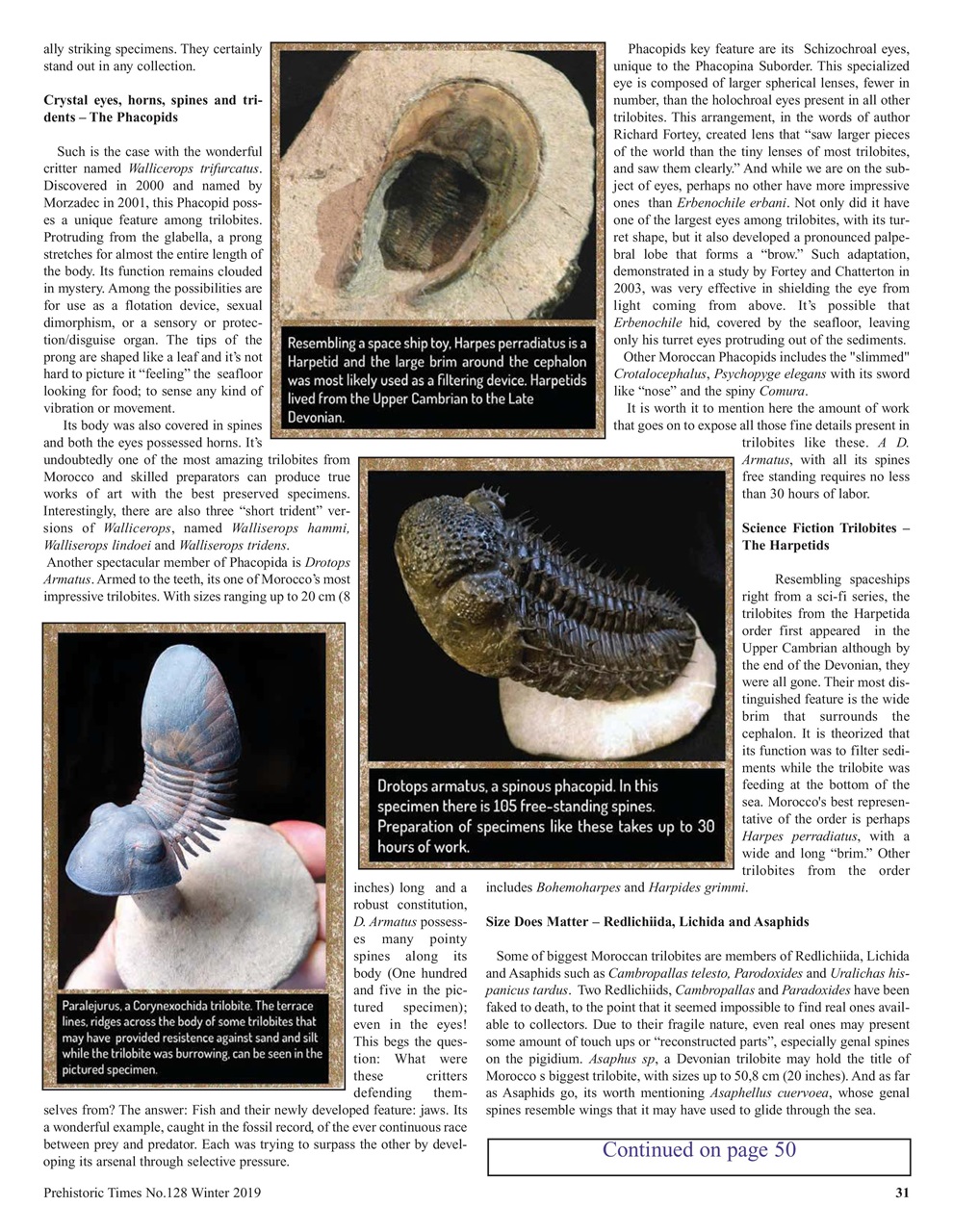 Prehistoric Times Preview Pages