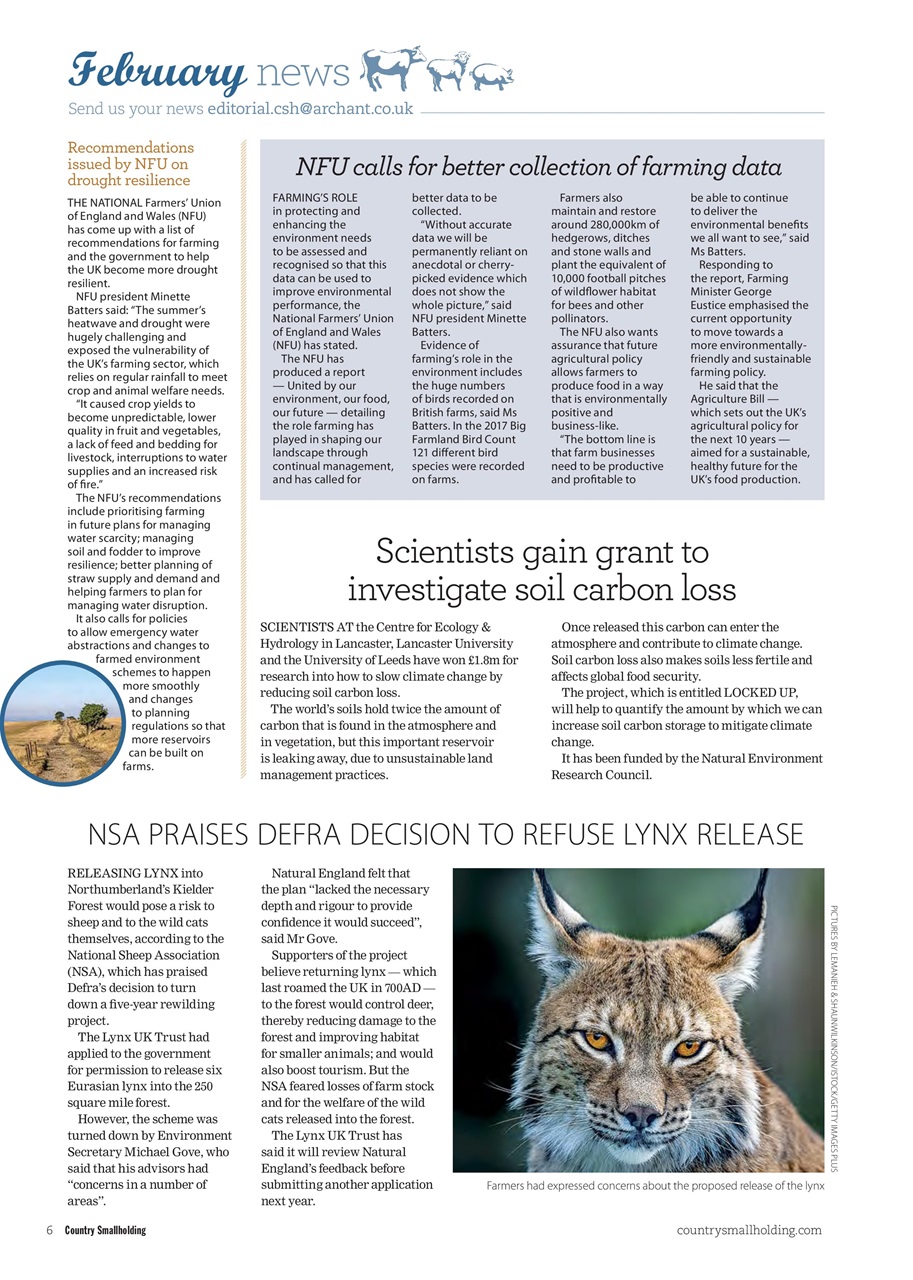 The Country Smallholder Preview Pages