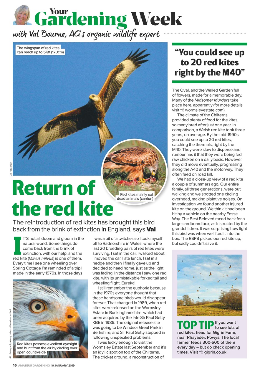 Amateur Gardening Preview Pages