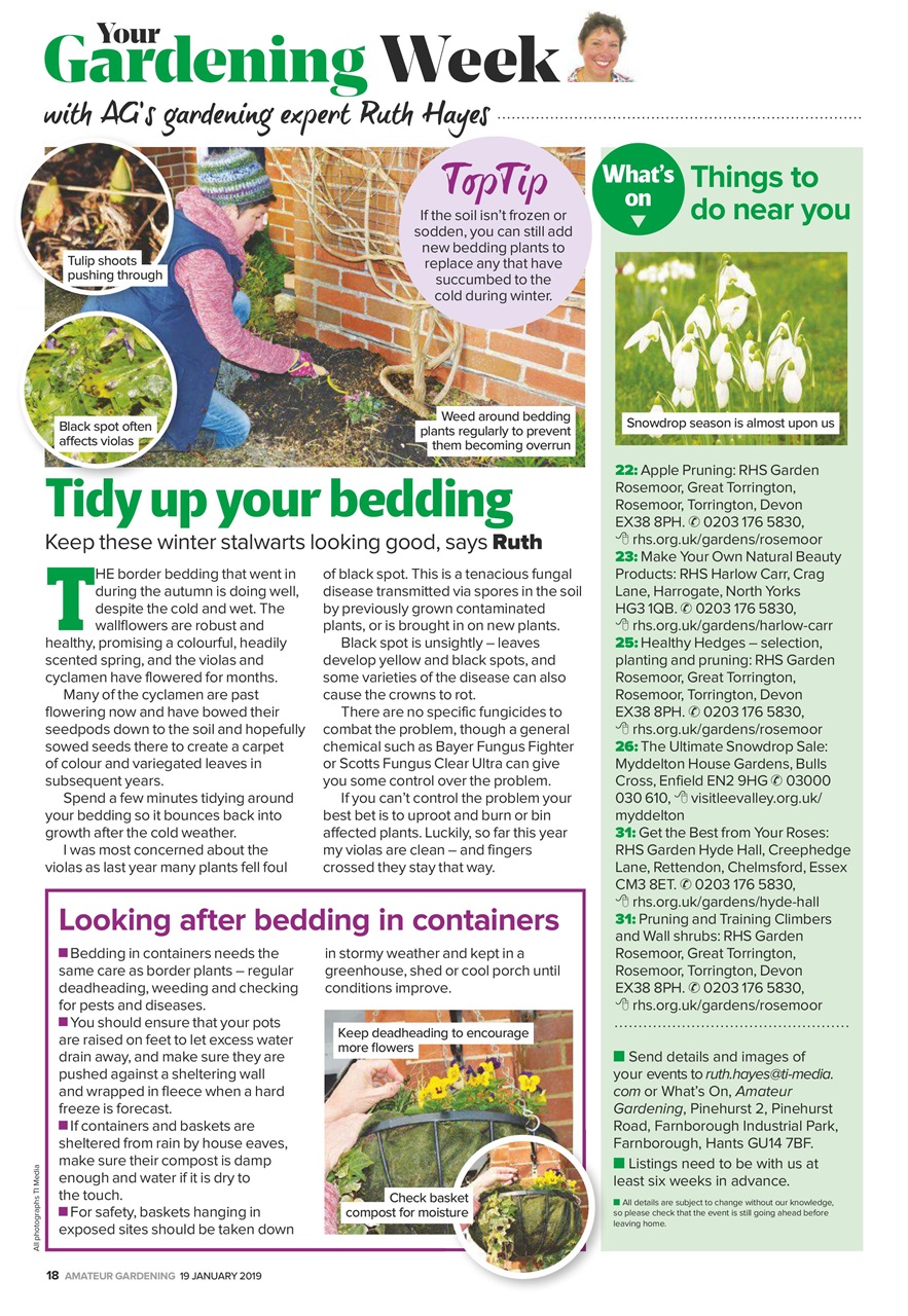 Amateur Gardening Preview Pages