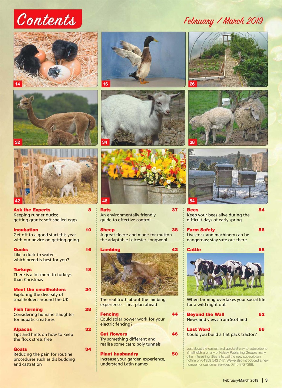 The Smallholder Preview Pages