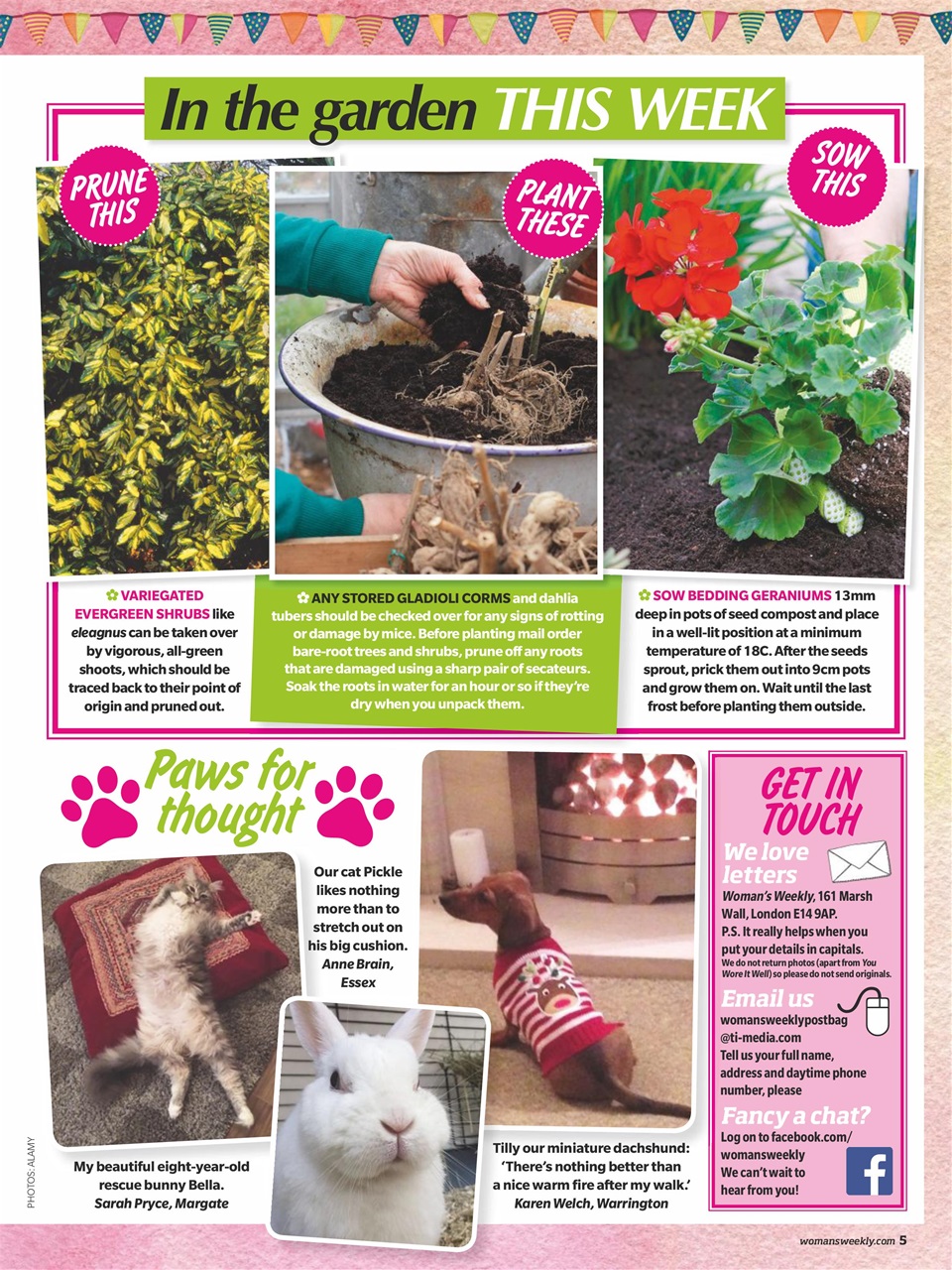 Woman's Weekly Preview Pages