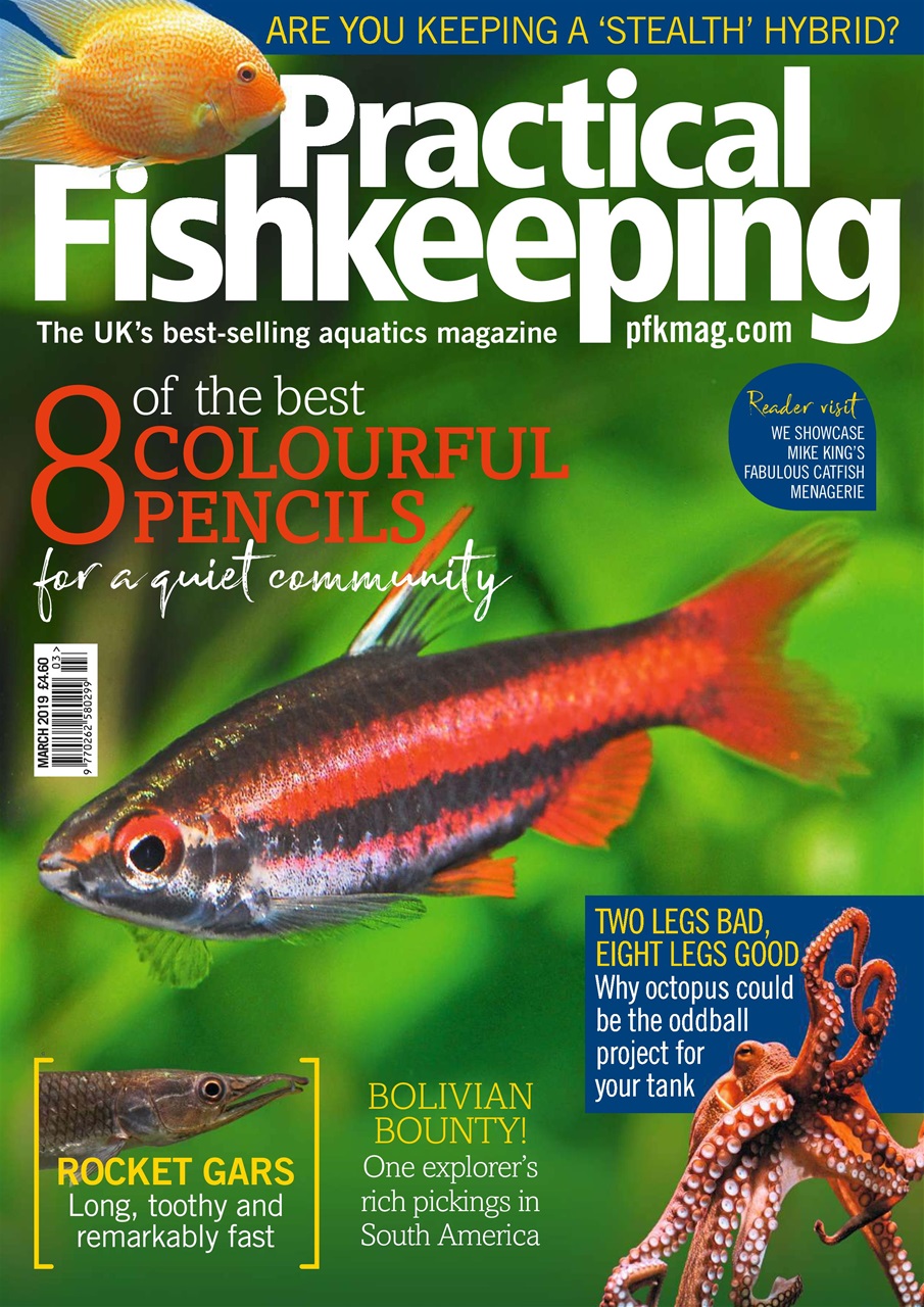 Practical Fishkeeping Preview Pages