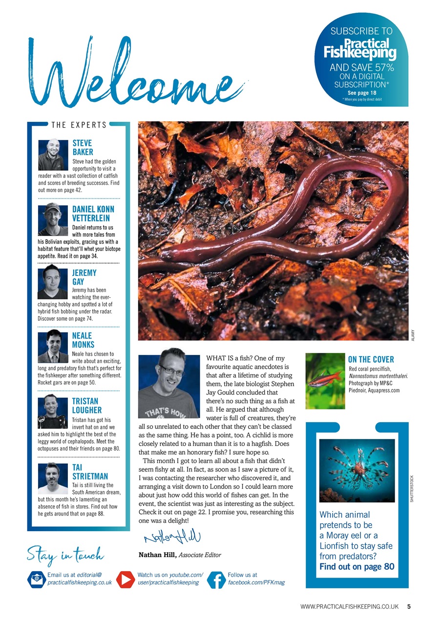 Practical Fishkeeping Preview Pages