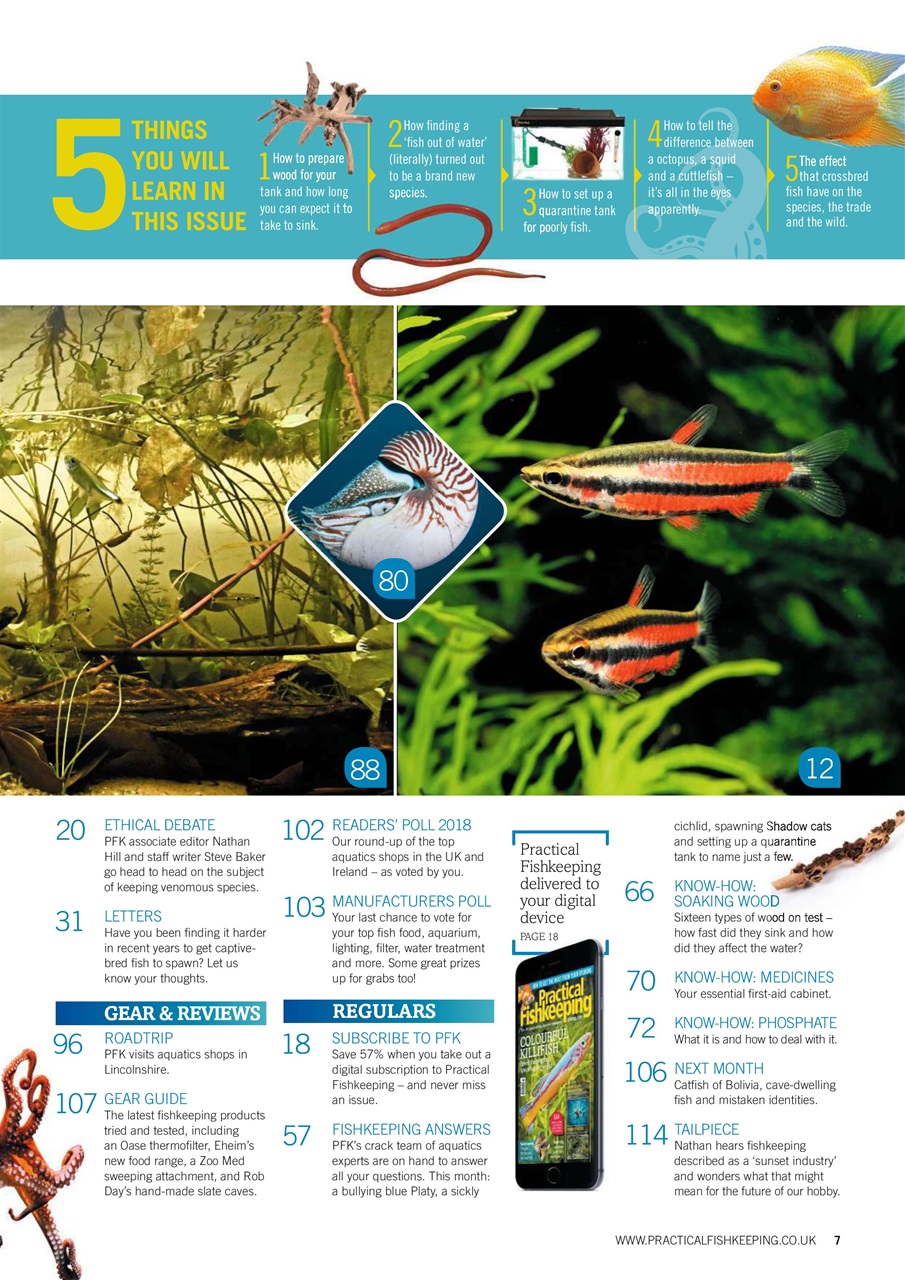 Practical Fishkeeping Preview Pages