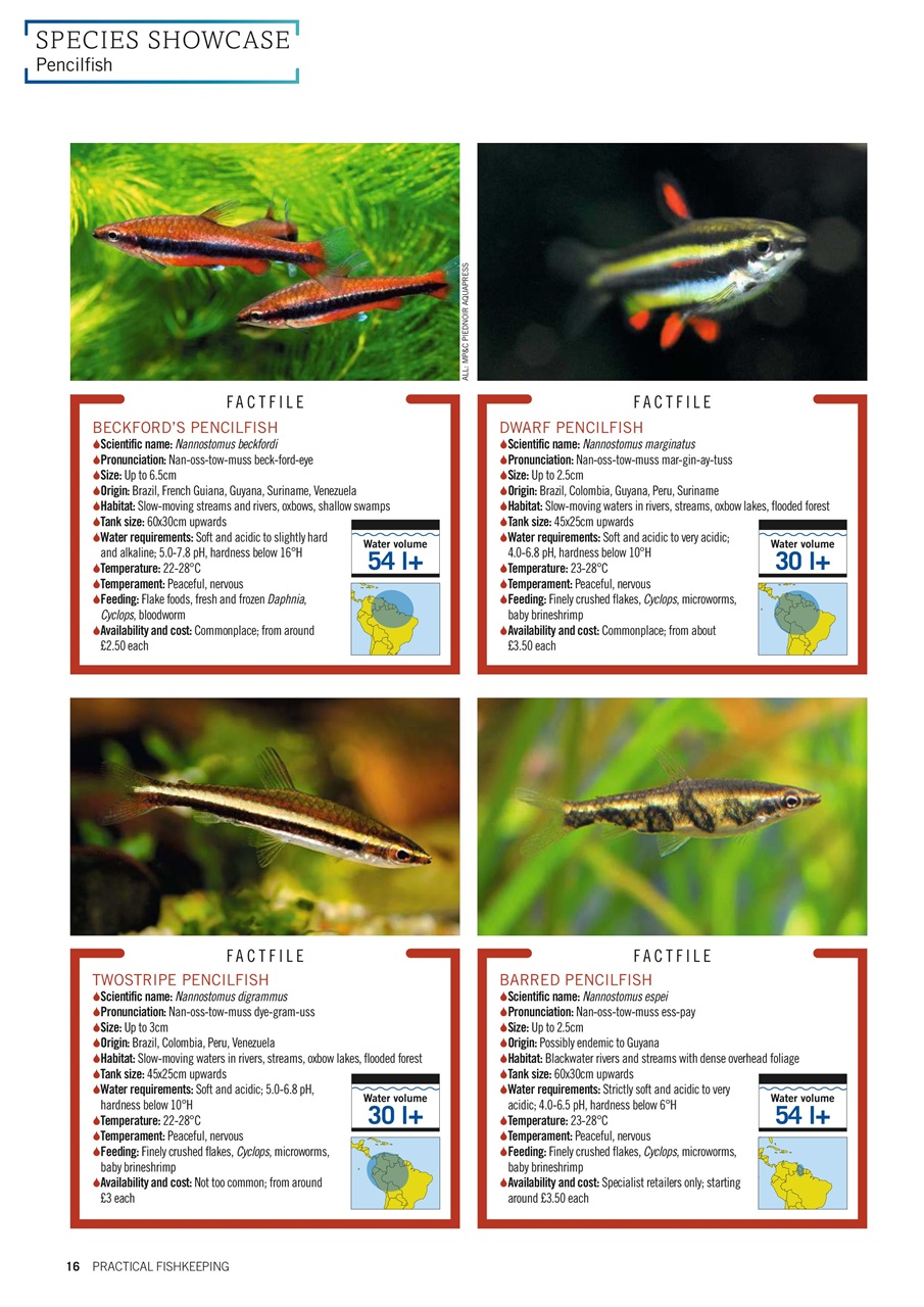 Practical Fishkeeping Preview Pages