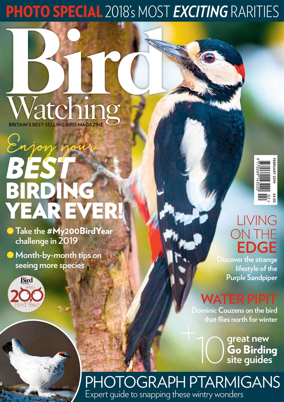 Bird Watching Preview Pages