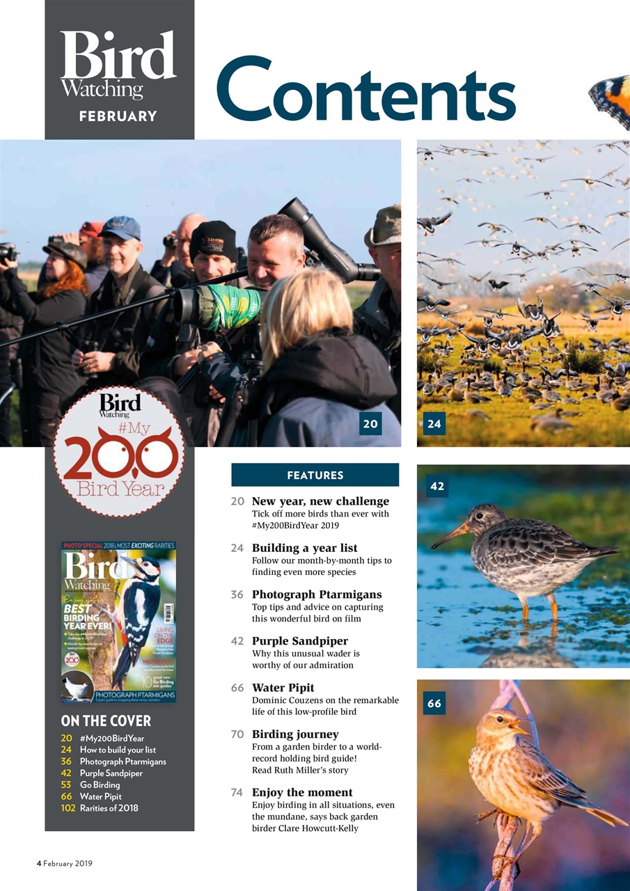 Bird Watching Preview Pages