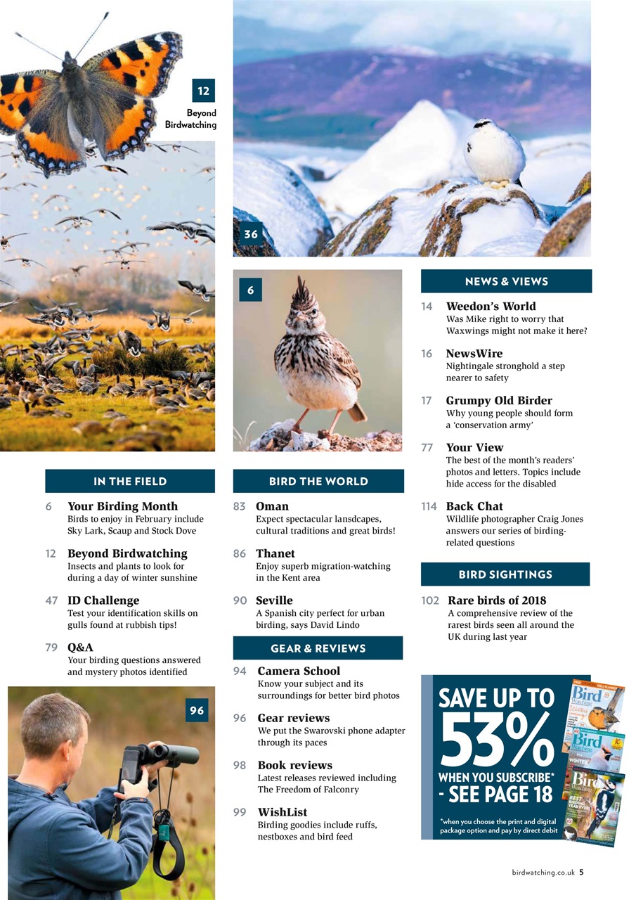 Bird Watching Preview Pages