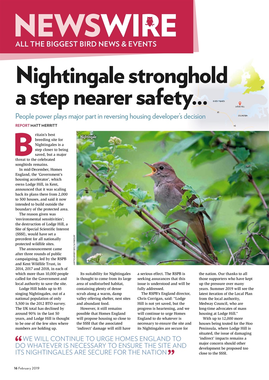 Bird Watching Preview Pages