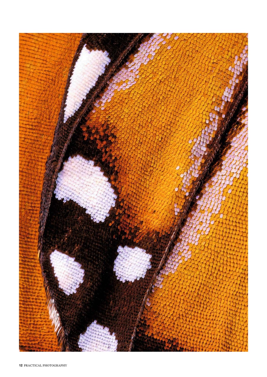 Practical Photography Preview Pages