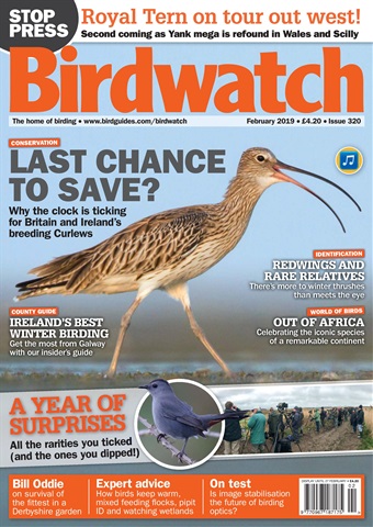 Birdwatch Magazine issue February 2019
