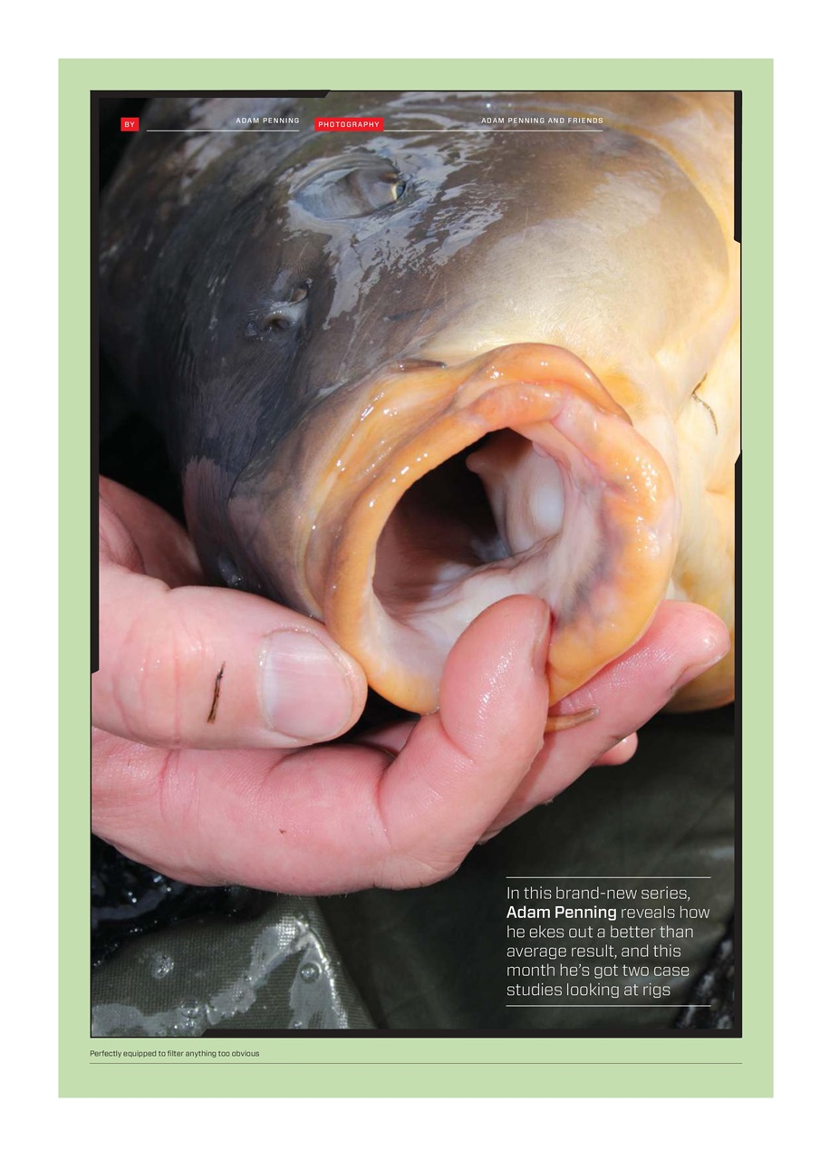 CARPology Magazine Preview Pages