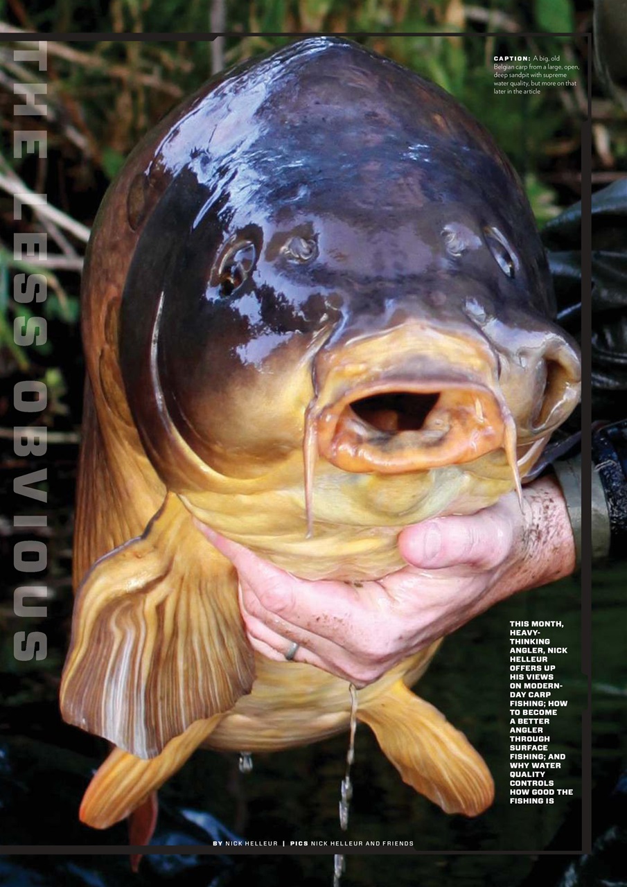 CARPology Magazine Preview Pages