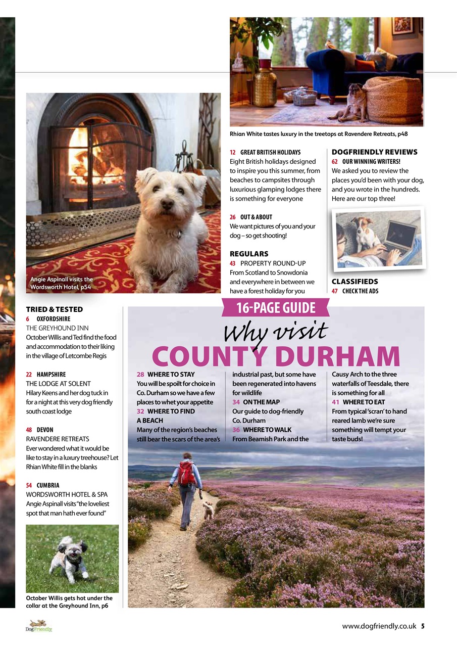 Dog Friendly Preview Pages