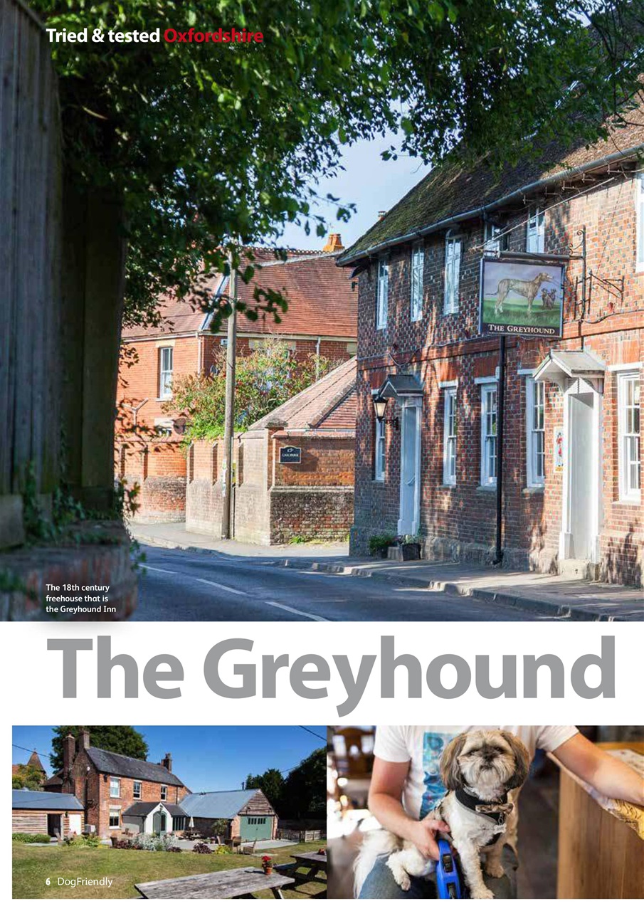 Dog Friendly Preview Pages