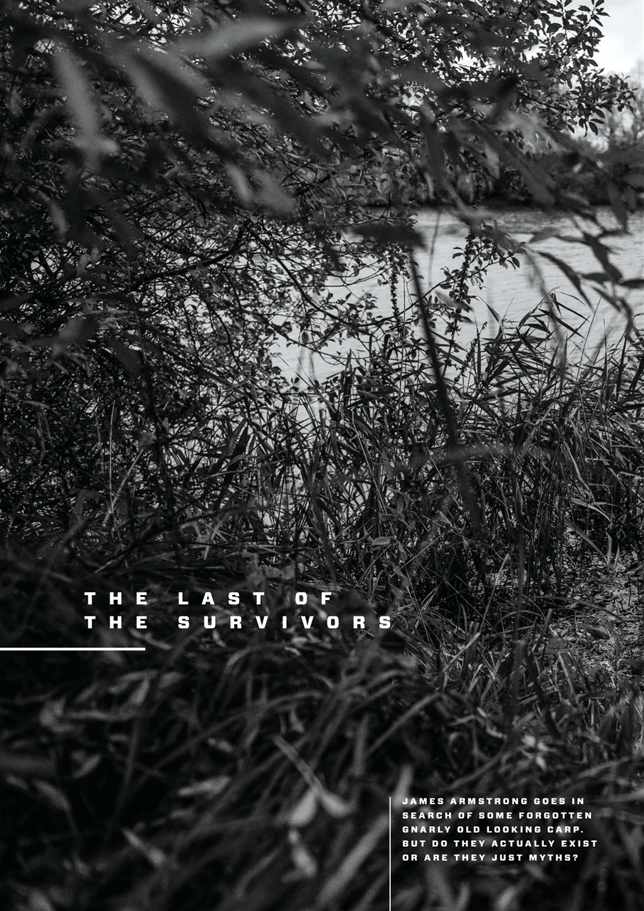 CARPology Magazine Preview Pages