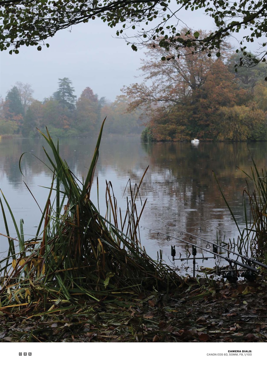 CARPology Magazine Preview Pages