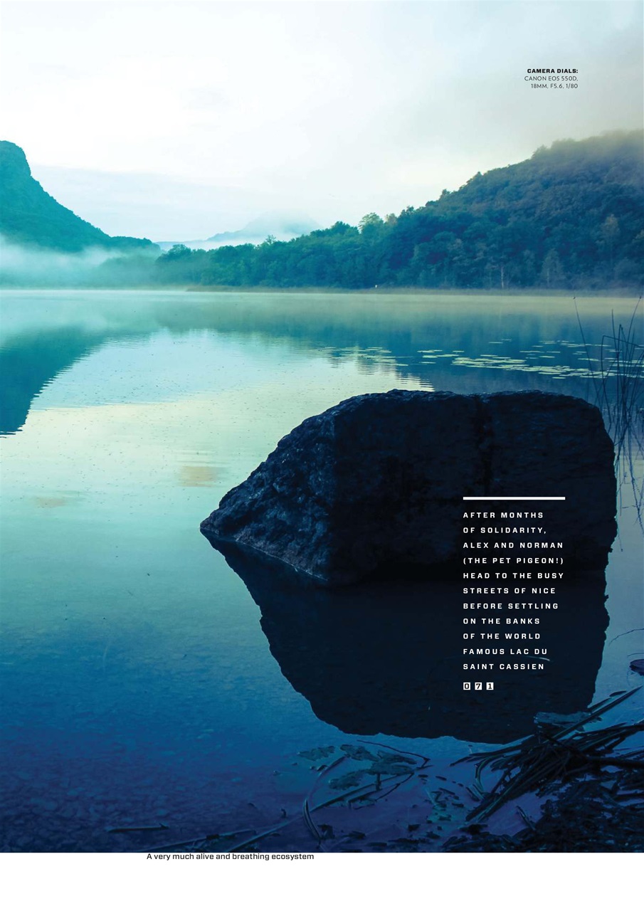 CARPology Magazine Preview Pages