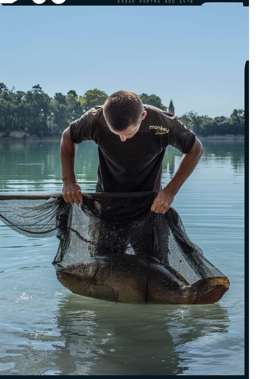 CARPology Magazine Preview Pages