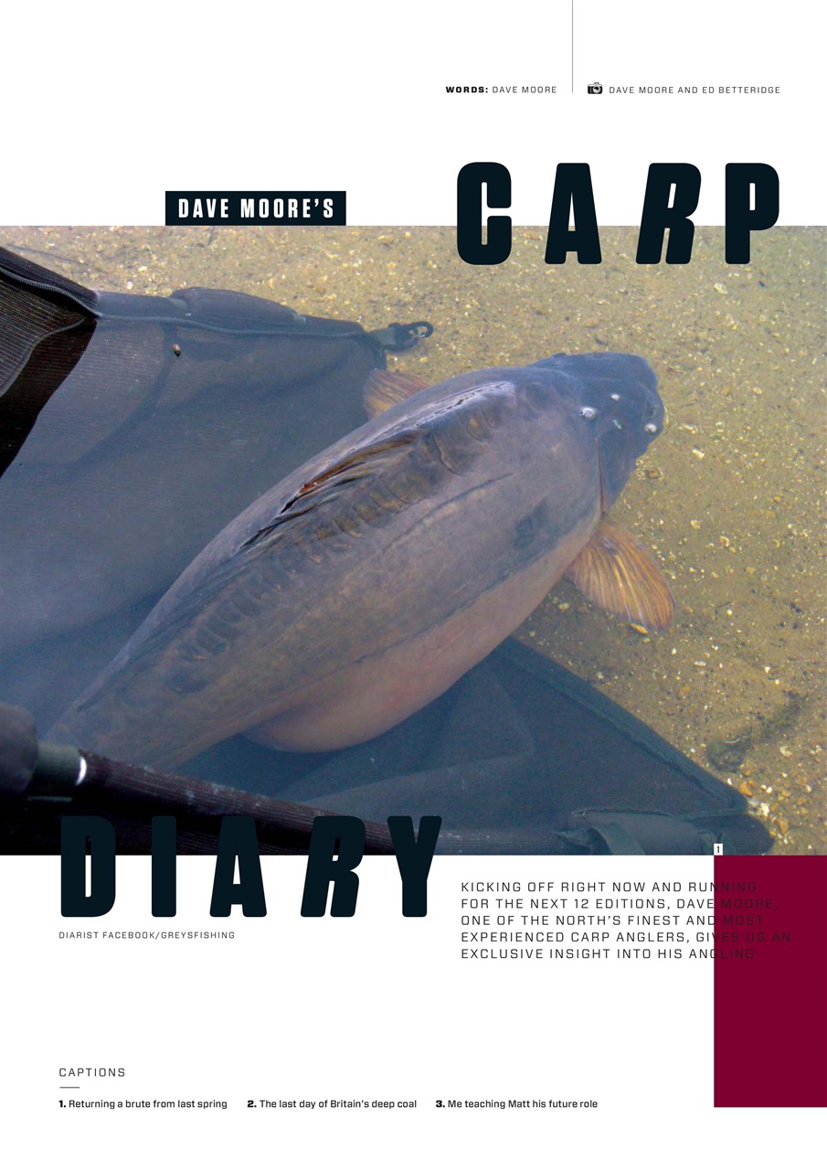 CARPology Magazine Preview Pages