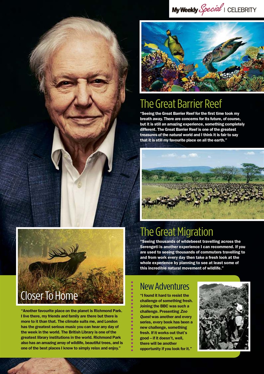 My Weekly Special Preview Pages