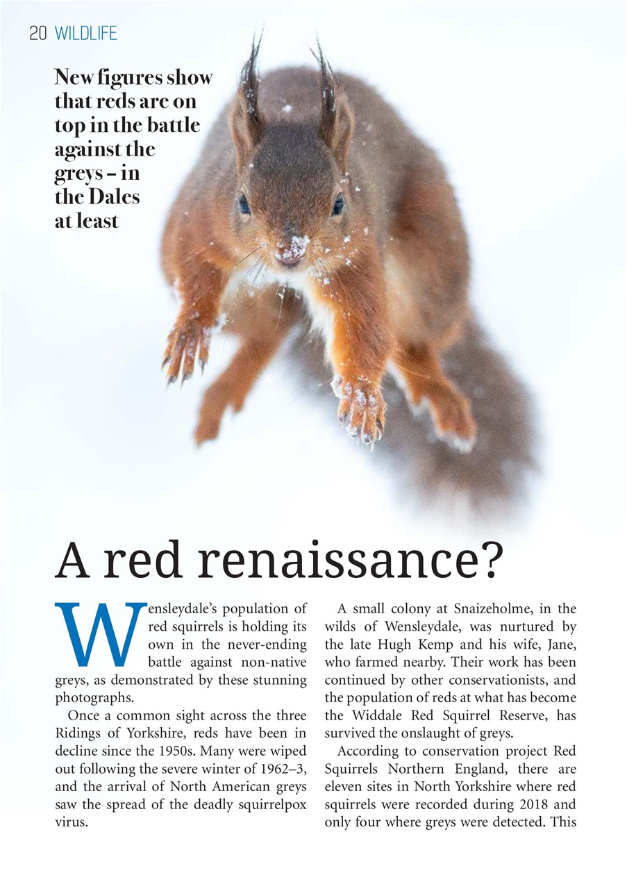 The Yorkshire Dalesman Preview Pages