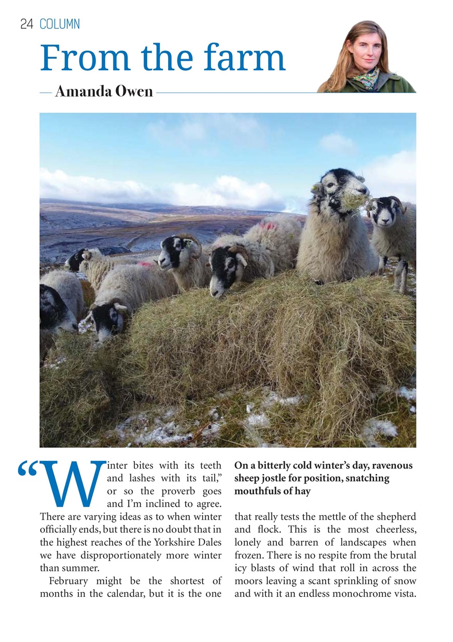 The Yorkshire Dalesman Preview Pages
