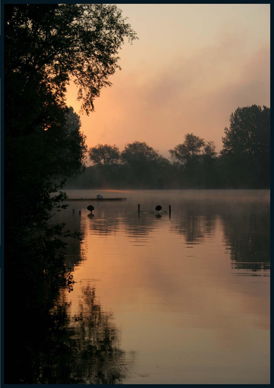 CARPology Magazine Preview Pages