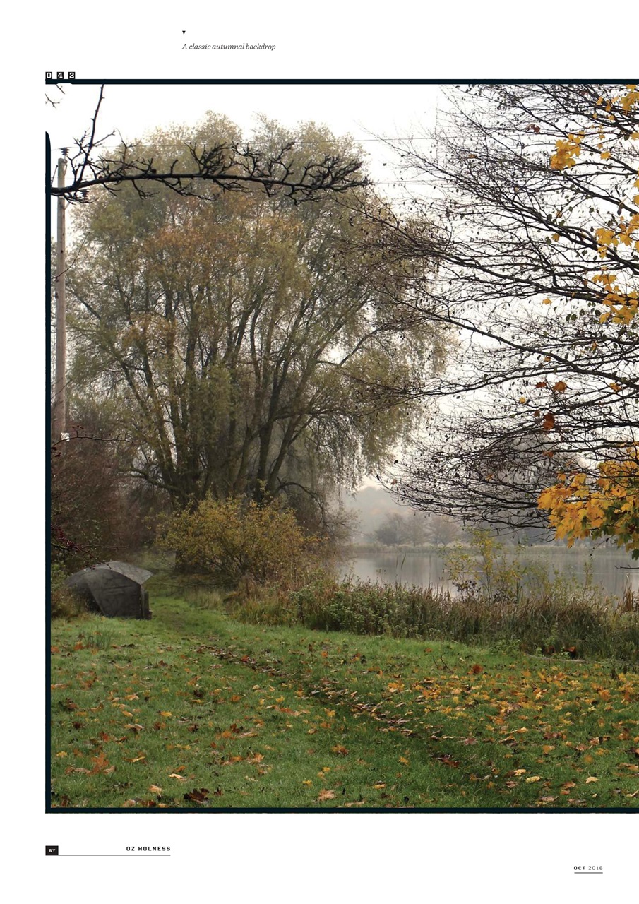 CARPology Magazine Preview Pages