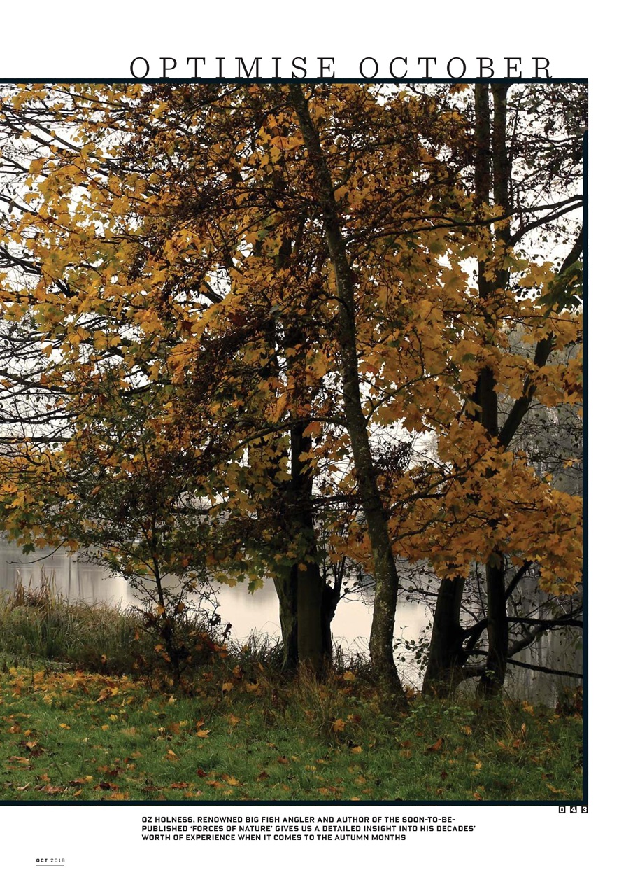 CARPology Magazine Preview Pages