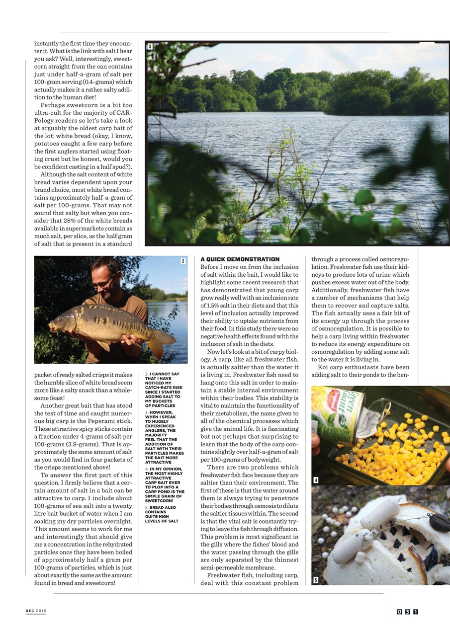 CARPology Magazine Preview Pages