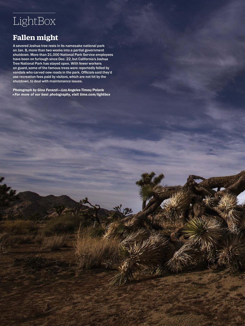 TIME Magazine Europe Preview Pages