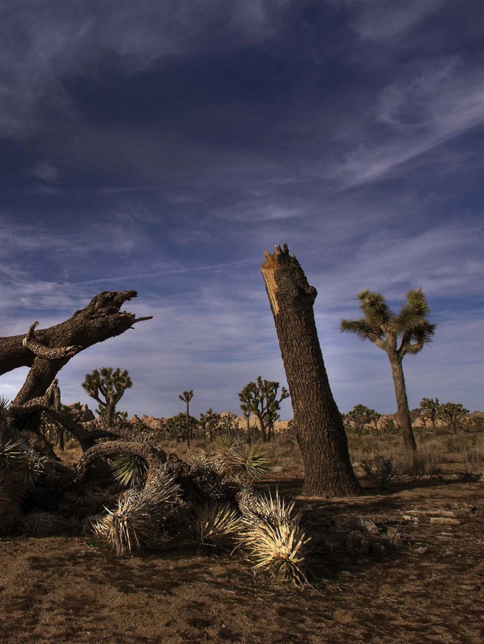 TIME Magazine Europe Preview Pages