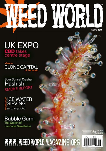Weed World issue 