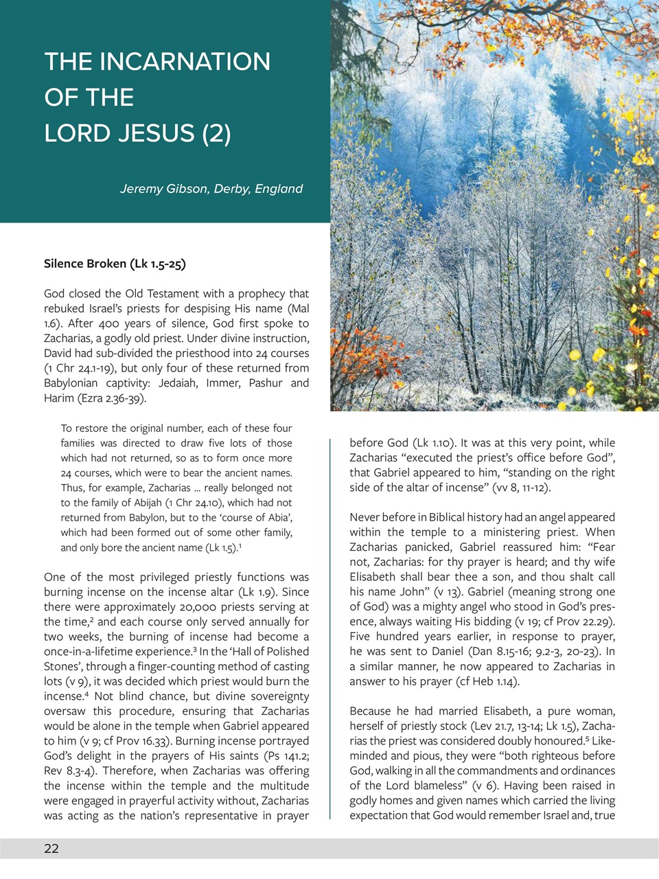 Believer Magazine Preview Pages