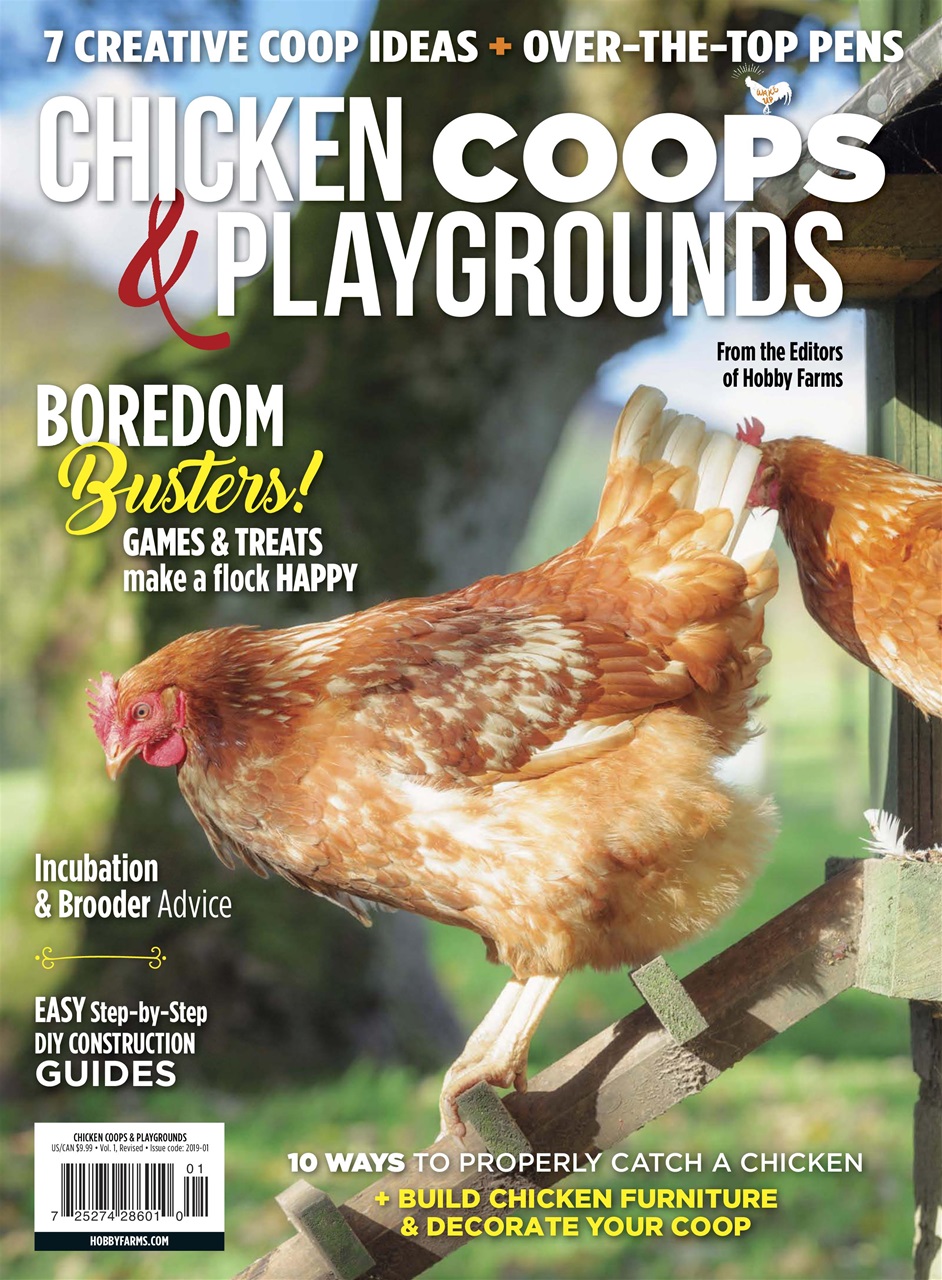 Chickens Magazine Preview Pages