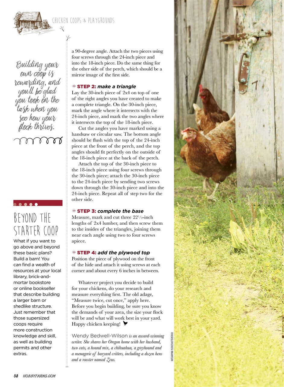 Chickens Magazine Preview Pages