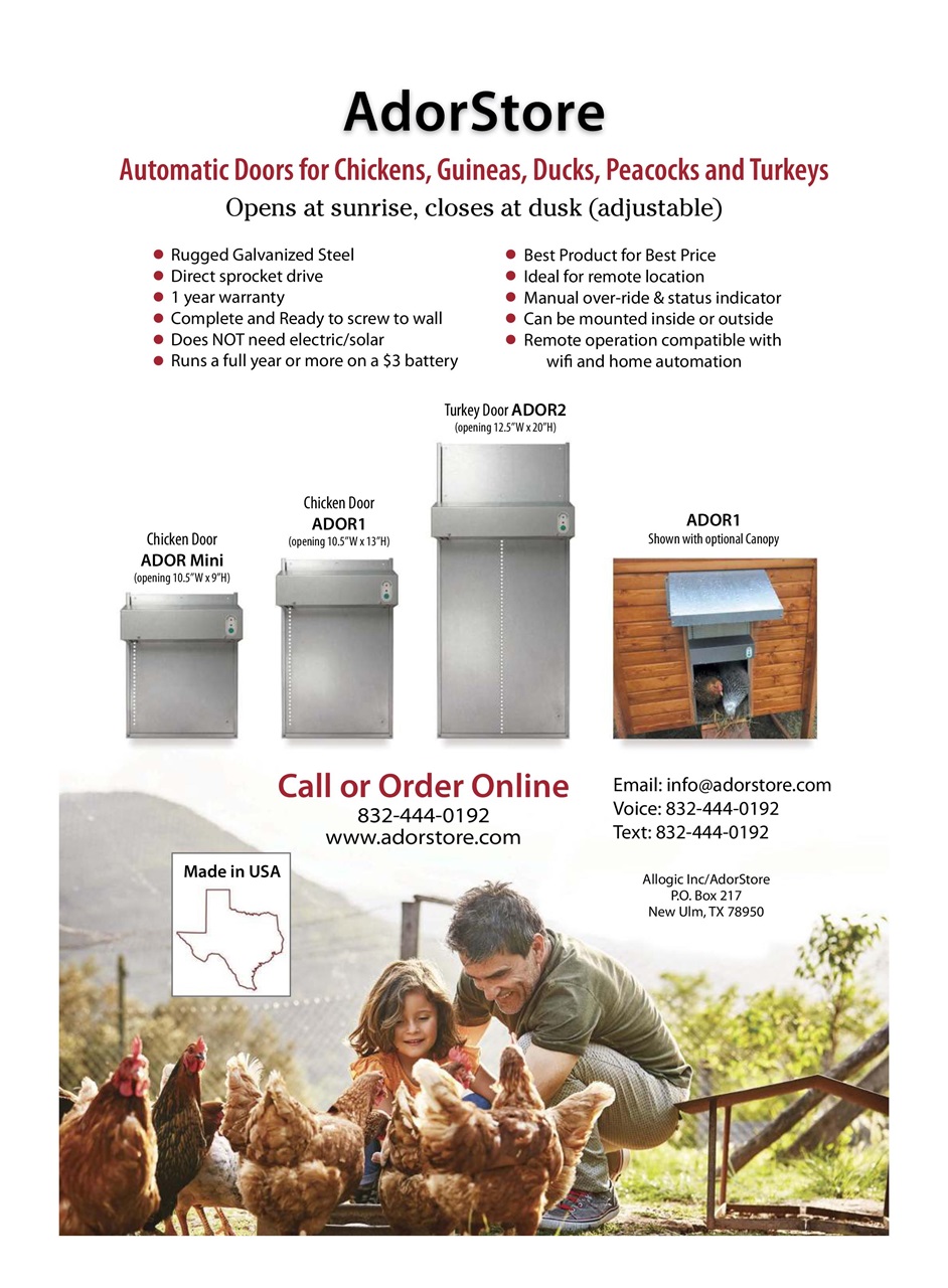 Chickens Magazine Preview Pages